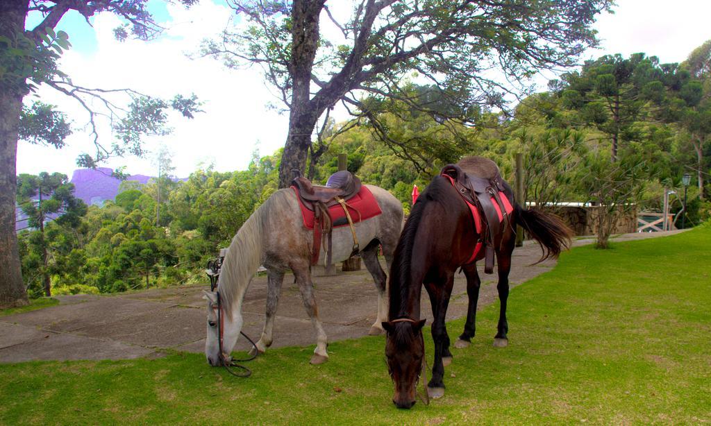 Pousada Marco Polo กังโปสดูจอร์เดา ภายนอก รูปภาพ